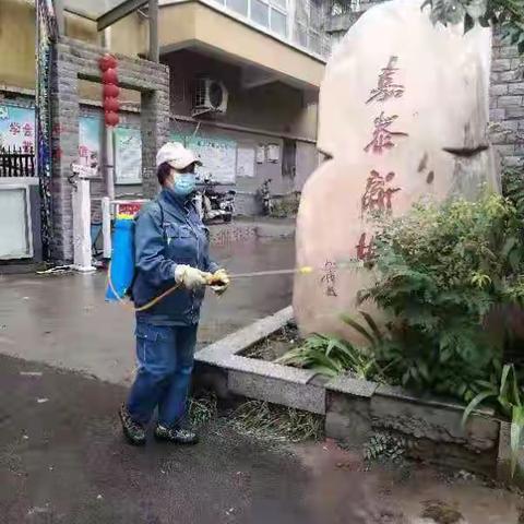 嘉泰社区雨后防疫消杀 保障群众健康