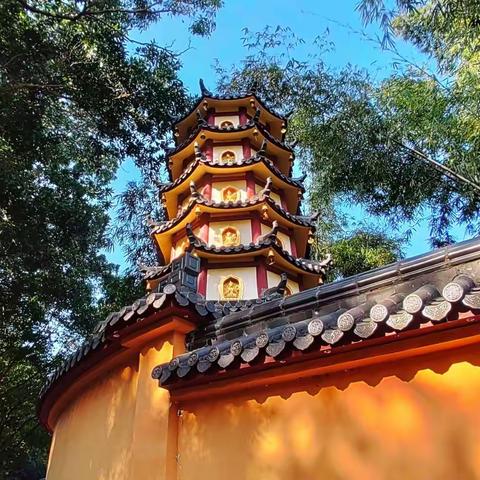 青崖白鹿《深圳园山随拍》