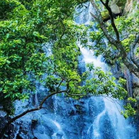 青崖白鹿《深圳马峦山随拍》