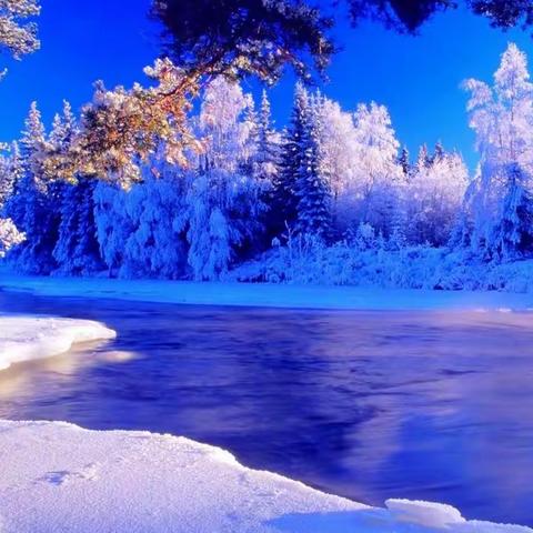 青崖白鹿《冰封梅绽 — 冬至》