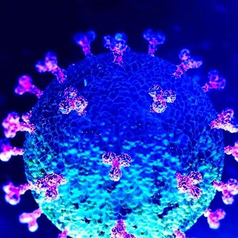 青崖白鹿《揭开新冠病毒的神秘面纱》