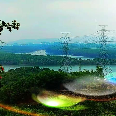 青崖白鹿《深圳平峦山公园随拍》