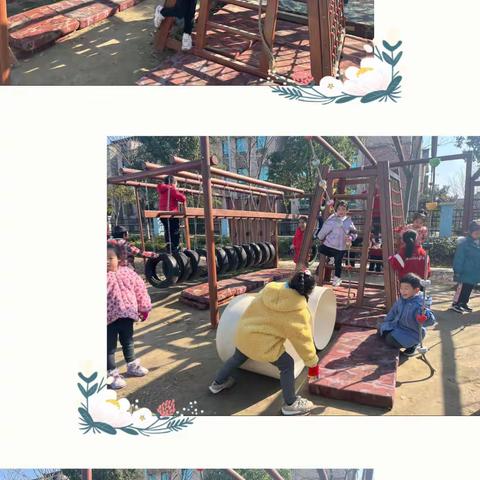 有趣的攀爬——大一班