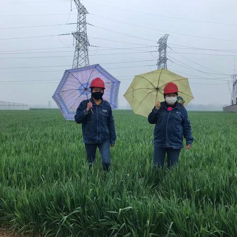 后知后觉的美篇