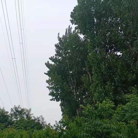 高考保电，我们在行动