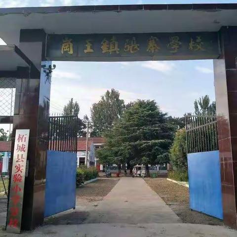 种下梧桐树，引得凤凰来——张寨小学系列报道之(一)