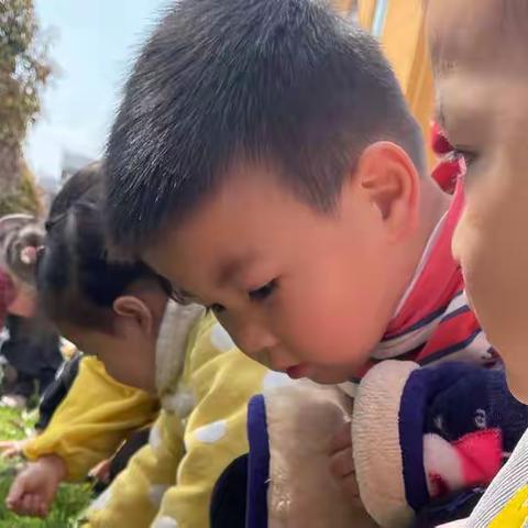 感受春天的气息