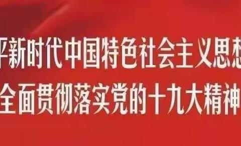 孤山学校迎接教科体局“不忘初心、牢记使命”主题教育、校园安全工作督导检查
