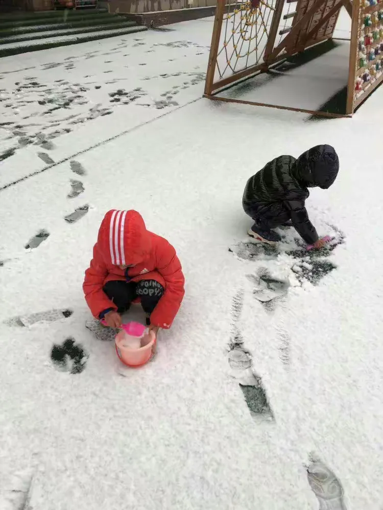 下雪了雪地里来了一群小画家