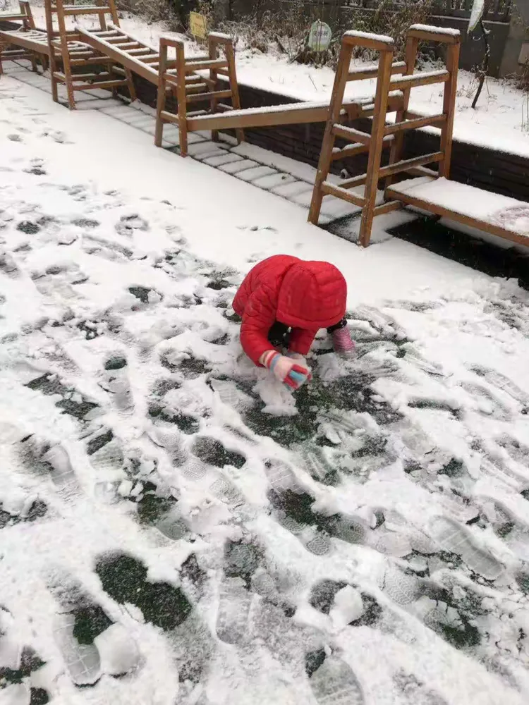 下雪了雪地里来了一群小画家