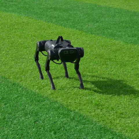 喜迎二十大 科普向未来——大阳镇中心小学参加“科普大篷车”进校园活动