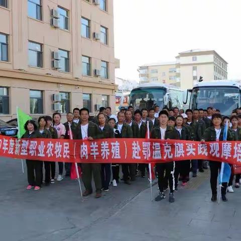 莫旗2017年度新型职业农牧民培育(肉羊养殖班)学员赴鄂温克旗开展实践观摩培训