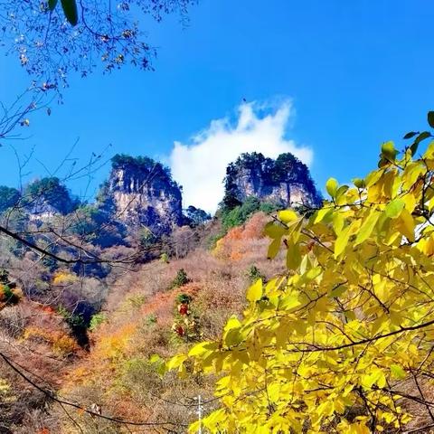 千年古苍道 奇秀光雾山