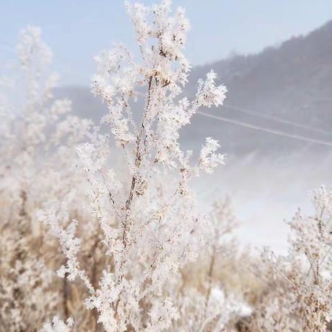 成长，不期而遇！——安吉儿幼教东北雪村行第五天