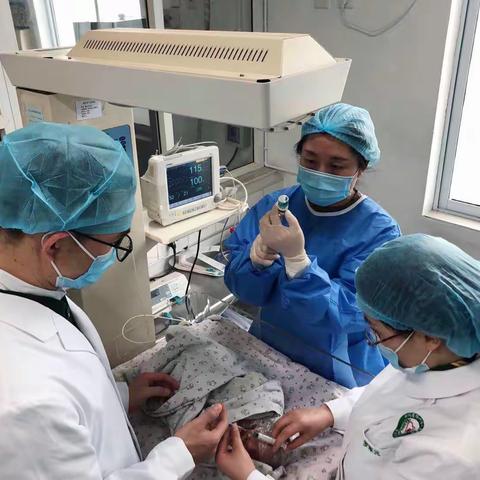 抢救1千克“拇指姑娘”的速度与激情