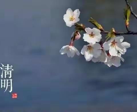 “杏花微雨  又至清明”桓台县起凤中学开展清明节系列活动