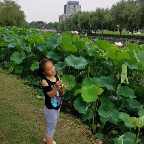 雨后彩虹的美篇