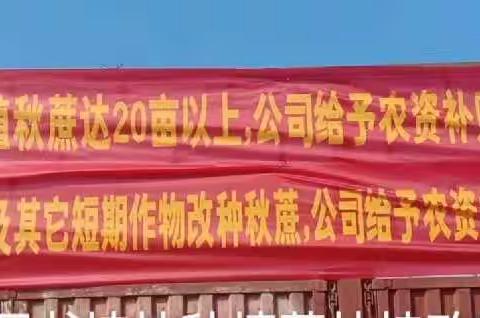 良庆东糖2022年秋植蔗种植扶持政策