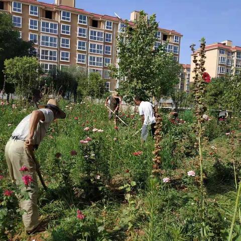 炎炎夏日坚守岗位——剪影烈日下的伊龙花园物业人