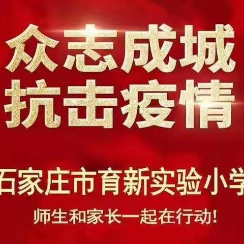 “桥西区教育疫情防控”之石家庄市育新实验小学|思维导图之美