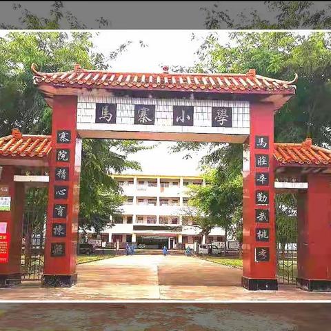 以“视”促教，以“导”促学——琼海市教育局视导组莅临大路镇中心学校马寨小学开展教学视导检查工作