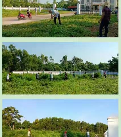 二图村委会进行开展农村人居环境整治工作