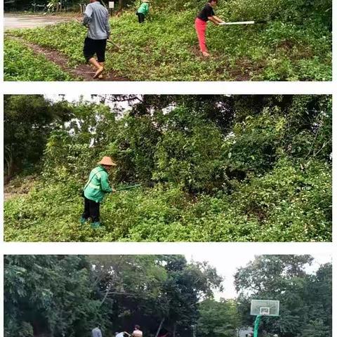 二图村委会土地方下村进行开展农村人居环境整治工作