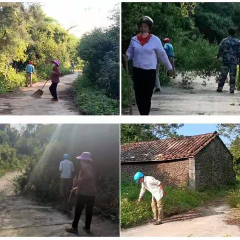 二图村委会戴宅村进行开展农村人居环境整治工作