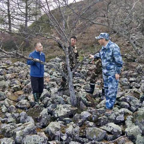 地区督查组来我局对珍稀树种 黄檗和沙棘种植项目工作进行现地调研