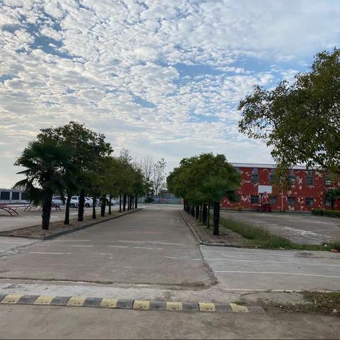 美好“食”光（二）———三里河街道南泉小学食堂剪影