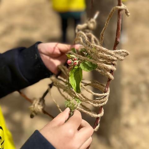 “春日拾趣🏕”理德斯幼儿园春雨之家自然教育活动