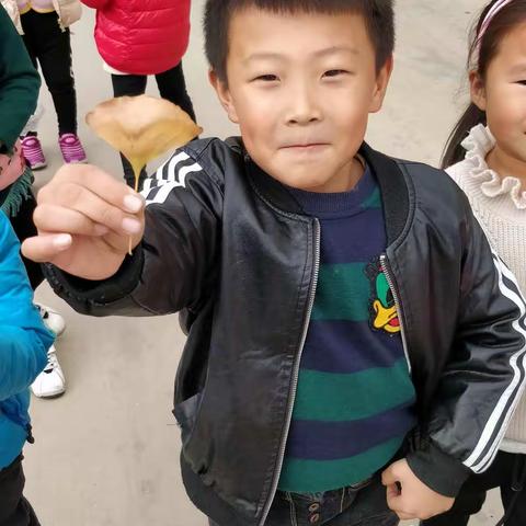 快乐的秋天树叶