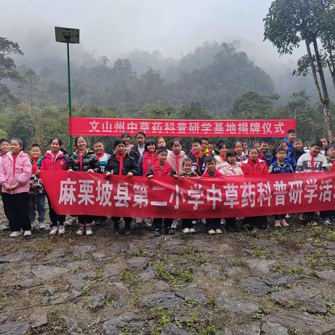 麻栗坡县第二小学“探秘药王谷”中草药科普研学活动