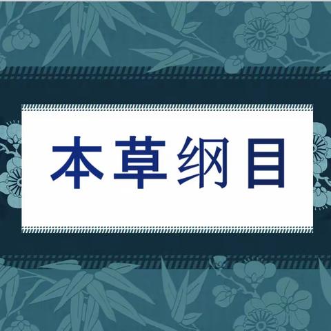潍坊美加实验学校  小学 三年级综合实践活动课程《本草纲目》作品展示