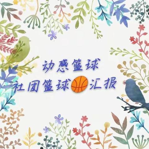 中育品格阳光台365幼儿园动感篮球🏀社团学期汇报活动