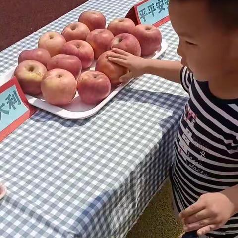 士林名邸小海龟幼儿园托一班开学第一周美好回忆