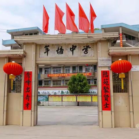 阅读伴我成长  书香润泽苹中——书香校园启动仪式