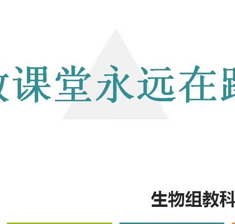 高效课堂 永远在路上