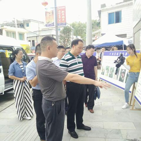 省林业厅向厅长一行莅临我镇检查指导林业工作