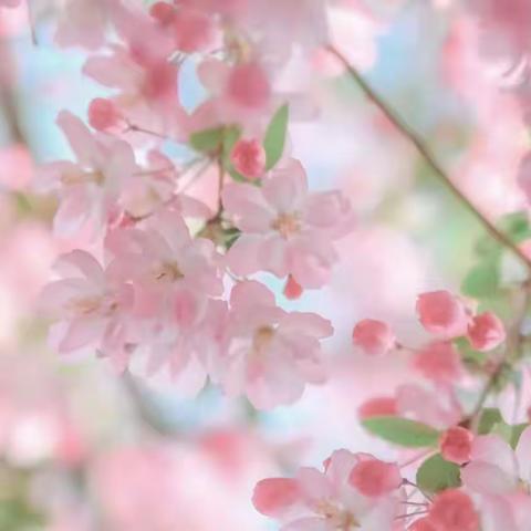 「华蒙儒童」托大三班一周精彩视频花絮