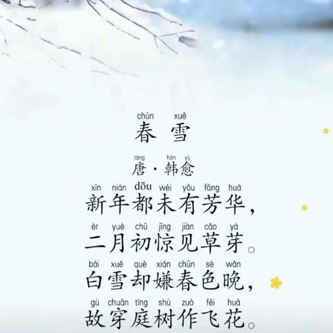 “雪”趣横生，“幼”见美好 —🌈🌈🌈小三班玩雪记❄️