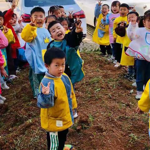 小小种植园 快乐满心间（一）——德兴市凤凰幼儿园霜降班第八周