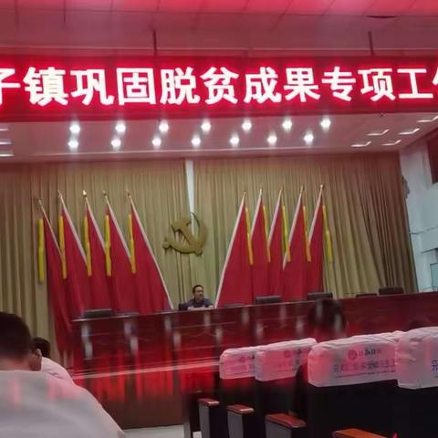 屯子镇召开巩固脱贫成果专项工作调度会