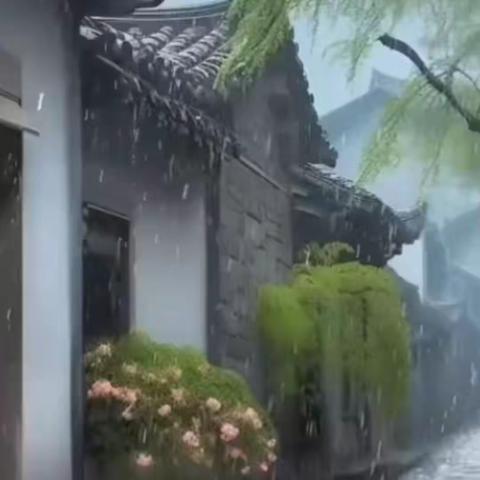 听雨