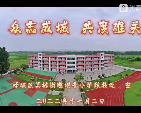 众志成城  共度难关--吴林街道坝子小学疫情停课不停学工作纪实