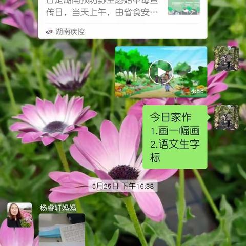 珍爱生命，远离毒蘑菇🍄