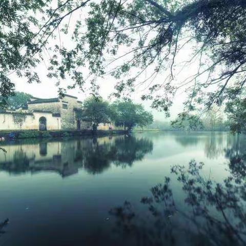 我和夏天有个约会