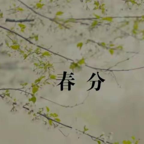 阳春三月 · 话春分——金太阳幼儿园春分主题活动