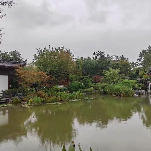 申园秋日雨中情