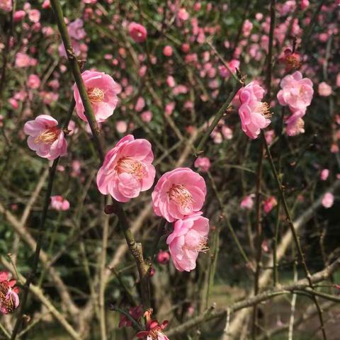 仙都一日游！